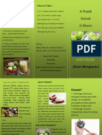 Dhenok Fix PDF