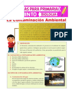 La-Contaminación-Ambiental-para-Quinto-de-Primaria.pdf