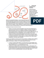 Estructura Terciaria de Las Proteínas