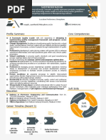 Profile Summary Core Competencies: Santhosh Nayak