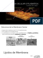 membrana2016.pdf