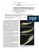 ISSN 0032-9452, Journal of Ichthyology, 2018, Vol. 58, No. 3, pp. 425–427. © Pleiades Publishing, Ltd., 2018.