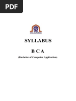 BCA Syllabus AKU