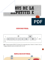 Virus de La Hepatitis e