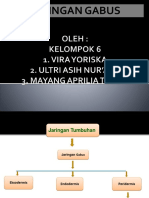 Kelompok 6 Jaringan Gabus