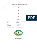 Laporan Anatomi Dan Fisiologi Manusia Dinda Rukmana NST