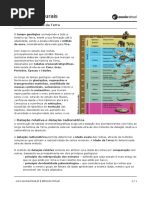Etapas Da Historia Da Terra