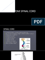 Anatomi Spinal Cord (Autosaved)