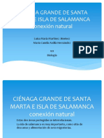 Ciénaga Grande de Santa Marta e Isla de
