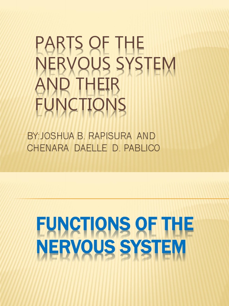 Parts of The Nervous System and Their Functions | PDF | Ear | Neuron