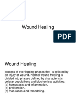 Wouund Healing