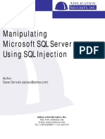 Manipulating SQL Server Using SQL Injection