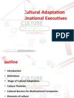 Cross Cultural Adaptation For Multinational Executives
