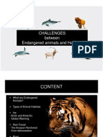 Challenges between endangered animals and habitat.ppt