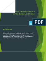 Feasibility of A Mushroom Farm in The Bunkers in El Buey: Sarah Muse, Serena Soltero, Matthew Suarez