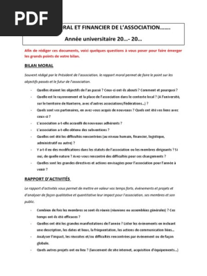 Bilan Moral Et Financier Pdf Economie Business