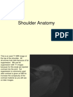 Shoulder Anatomy Tcm396-166103