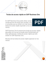 Teclas de Acceso Rapido en SAP Business PDF