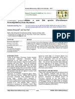 Labeo Filiferus PDF