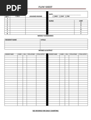 Nursing Flow Sheet.docx