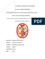 Monografia de Garantias Constitucionales (Sociedad Cultura)