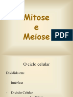 Aula - Mitose e Meiose