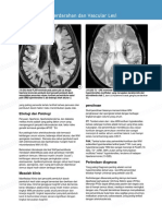 Osborn. Brain (PDF - Io) (3) - Converted - En.id