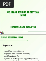 Células tecido imune