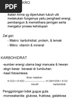 Download Zat Gizi Makro-psgizi by dinaanid SN43587496 doc pdf