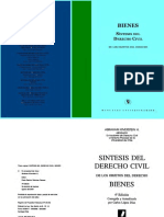 SINTESIS_DEL_DERECHO_CIVIL_-_BIENES_-_Abraham_Kiverstein_H.pdf