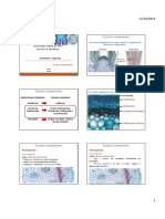 Tecidos Fundamentais em Plantas