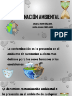 Contaminación ambiental
