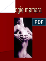 343202813-03-Patologia-Mamara-Red.pdf