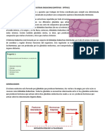 Sistema endocrino: hipófisis y epífisis