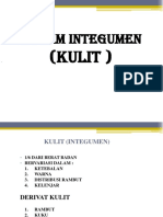 Sistem Integumen