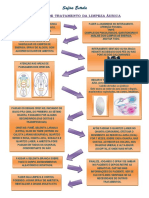 ESQUEMA DE TRATAMENTO - limpeza áurica.pdf