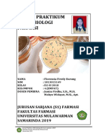 Format Laporan Atau Jurnal Praktikum Di Biologi