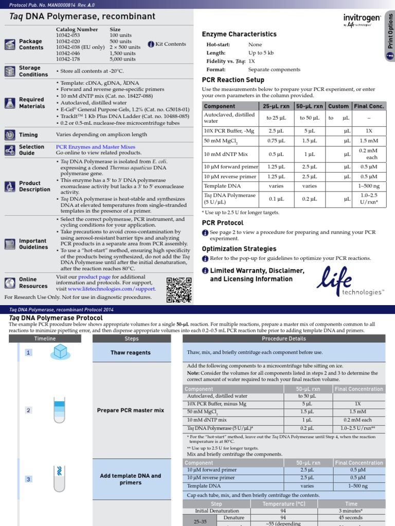 0814 Taq DNA Polymerase Recombinant | PDF | Taq Polymerase | Polymerase ...