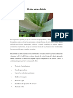 Plantas Medicinales