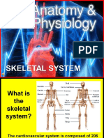 173-Anatomy-skeletal.ppt