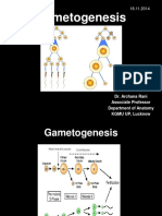 A Gametogenesis 16 12 14 PDF