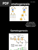 A Gametogenesis 16 12 14 PDF