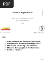 AULA11_sistemas_especialistas