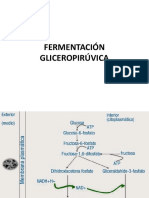 Rutas Metabolicas