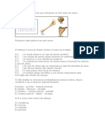 sistema osseo