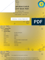 Lapkas Low Back Pain