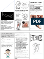 Leptospirosis Pamflet PDF