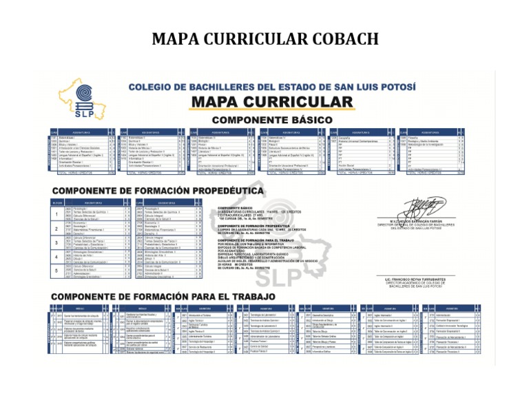 Mapa Curricular Cobach | PDF