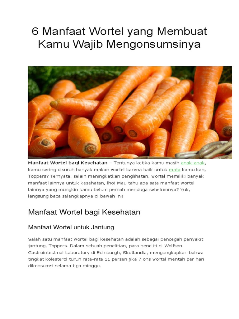 6 Manfaat Wortel Yang Membuat Kamu Wajib Mengonsumsinya