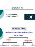 Neurofisiologi Edit